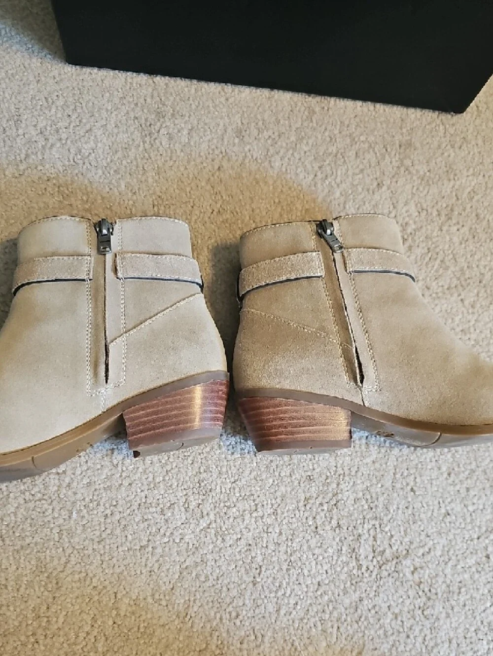 Coach Beige Suede Ankle Booties with Branded Medallion - Picture 3 of 11